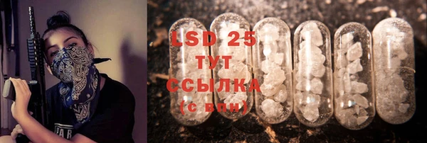 прущие грибы Абдулино