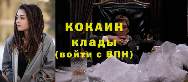 прущие грибы Абдулино