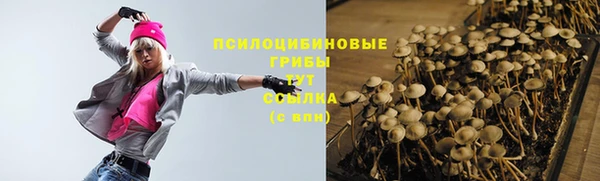дурь Абаза