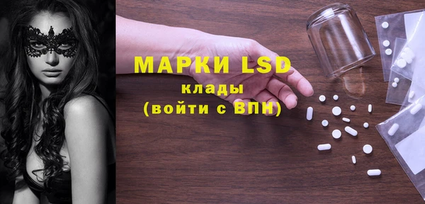 прущие грибы Абдулино